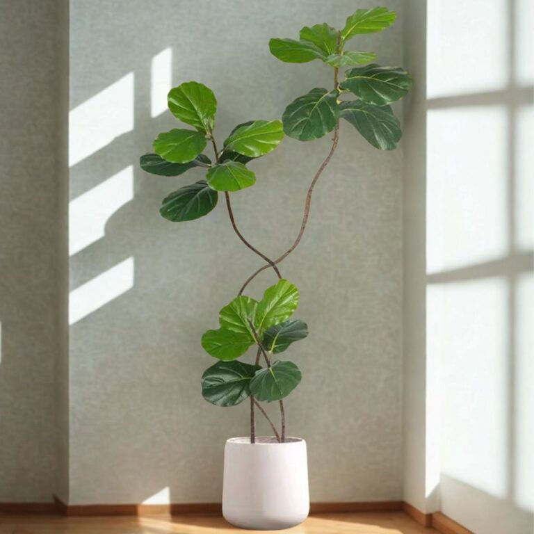 HOME DECOR