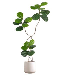 102 Fig Tree Faux Plant Decor 07 (160cm)