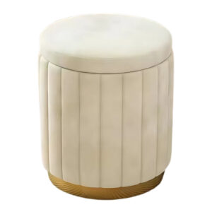 020 Vanity Stool With Storage