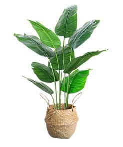 066 Faux Plant Decor 01 120cm